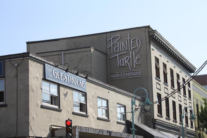painted turtle guesthouse hostel