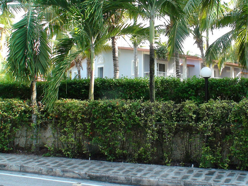 hotel riu bambu all inclusive