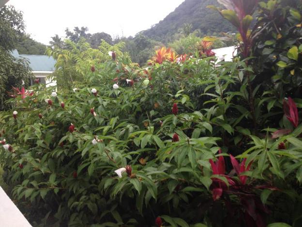 Marl Self Catering,Cascade>>Anse Boileau,2 star