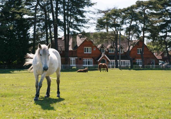 Beaulieu Hotel,Brockenhurst>>Beaulieu,4 star