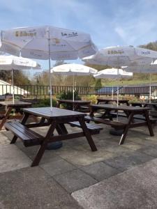 Castle Inn,Knighton>>Beguildy,3.5 star