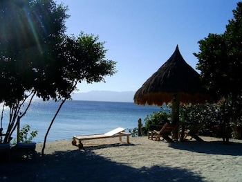 sea turtle house
