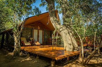 Leopard Reach Yala By Seven Angels,,3 star