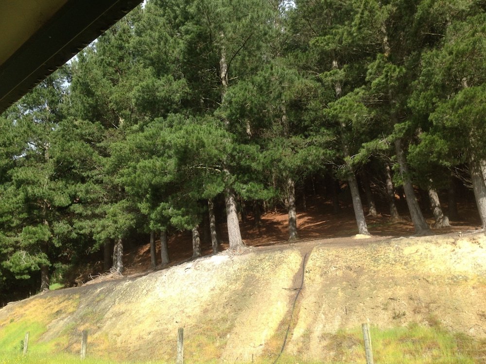 Hunters Moon,East Taieri>>Dunedin,4 star