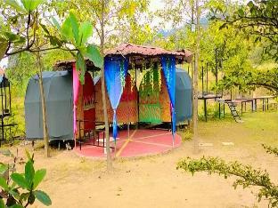 aangan village farm