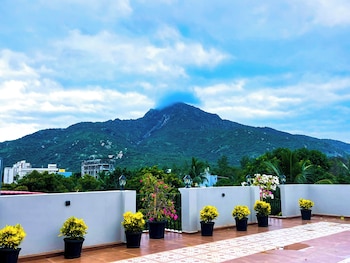 haaraa suites