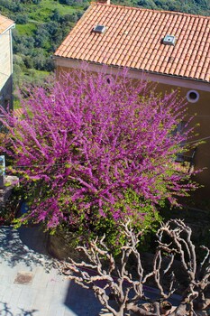 U Santa Maria,Corse-Du-Sud>>Ajaccio,2 star