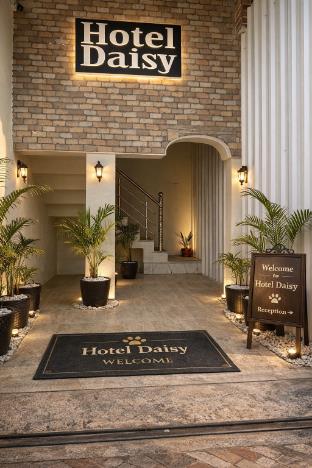 Hotal Daisy ,,5 star