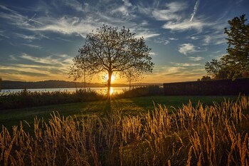 Sonne Seehotel,Eich>>Arth,3.5 star