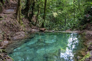 cabanas caeli peaceful rainforest retreat with stunning views