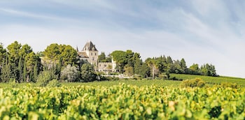 Chateau Les Carrasses,Route De Capestang, (D37),4 star