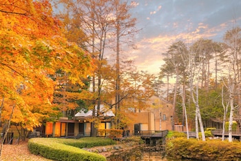 forest village