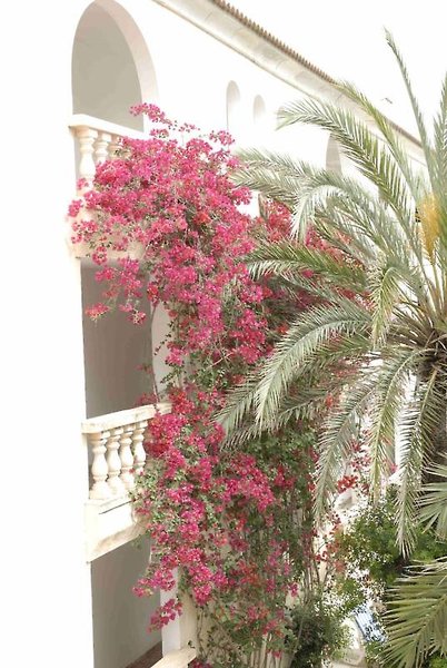 Es Baulo Petit Hotel,Balearic Islands>>Ariany,4 star
