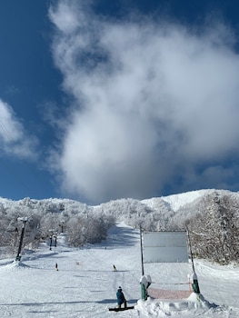 snowball hostel
