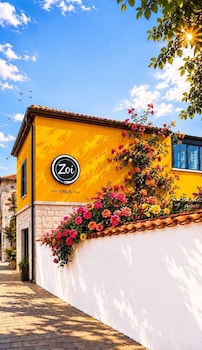 zoi urla