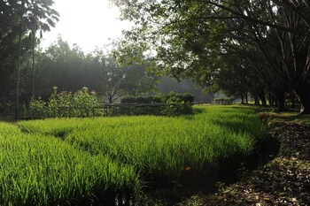 Sippa Hotspring,Doi Saket>>Chiang Mai,3 star