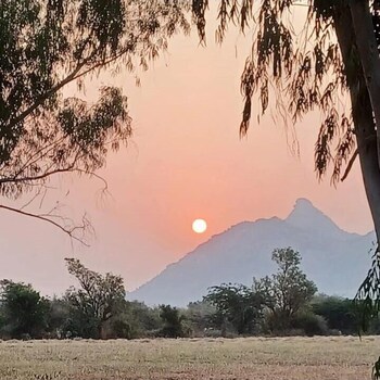 Aranya Jawai - A Nature Stay,,3 star