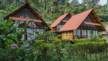 Yacuma Ecolodge,Misahualli>>Chontapunta,3.5 star