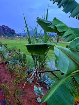 oshos organic resort hampi