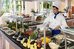 Valamar Sanfior Hotel And Casa,Near Girandella Beach,4 star