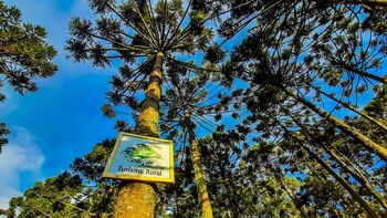villa das araucarias urubici sc