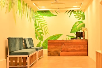 rest nest havelock
