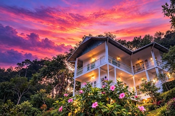 nature harmony