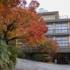 Yunokaze Hazu,Hamamatsu>>Aichi,3 star