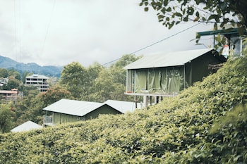 radiance ella urban camping