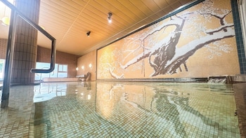 livemax resort hidatakayama garyunosato