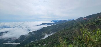 Tea Nest Cafe Nd Homestay,,3 star