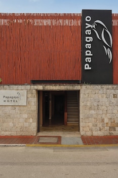 hotel papagayo