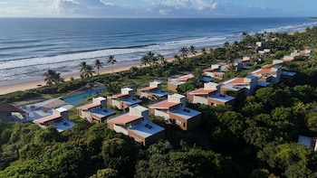 alma marau