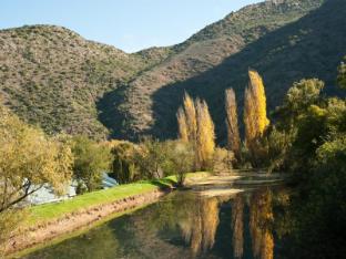 old mill lodge working ostrich farm and restaurant oudtshoorn