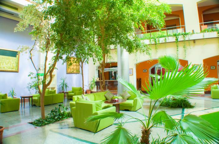 ararat hotel