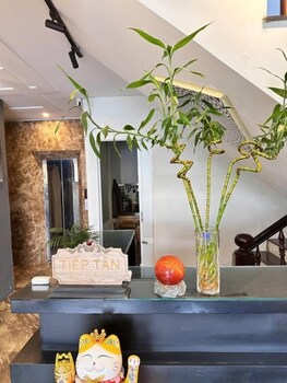 mia house da lat