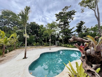 dalung tropical