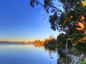 Beauty Point Tourist Park,George Town>>Beauty Point,4 star