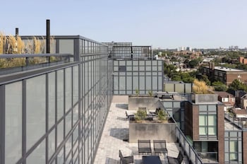 Nester Finn West Queen West,,4 star