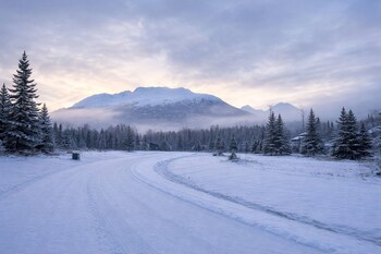 Stay Alaska - Modern Stays In The Wild,,5 star