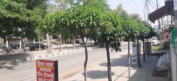 hotel shivdham