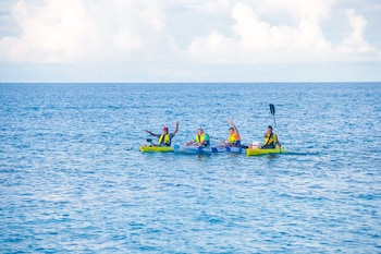 Serenity Island Resort,Fiji>>Bounty Island,2 star