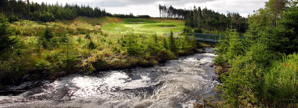 The Wilds At Salmonier River,Holyrood>>Conception Bay South,3.5 star