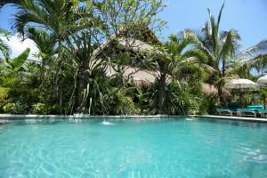 tigerlillys boutique hotel