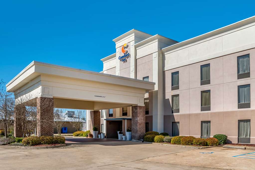 comfort inn pearl jackson