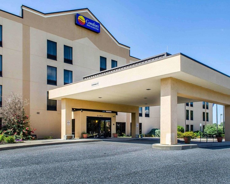 comfort inn and suites
