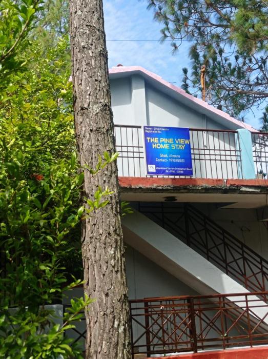 the pine view home stay
