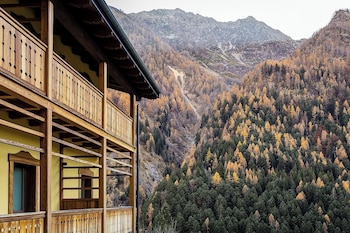 Mirtillo Alpino,Riva Valdobbia>>Alagna Valsesia,3 star