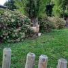 Hotel Mendionde,Bayonne>>Ascain,3 star