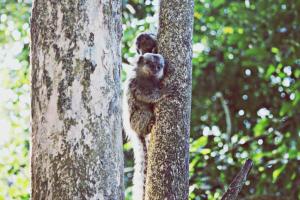 Pousada Lagamar,Angra Dos Reis,3 star